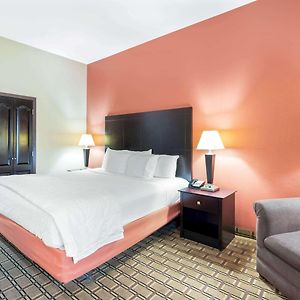 Executive Queen Suite